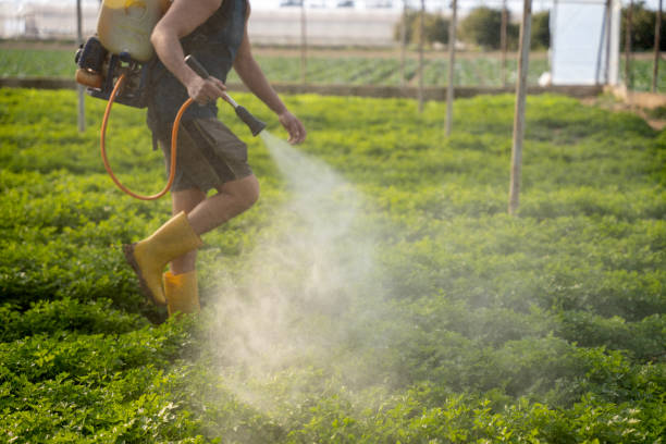 Best Mosquito Control Services  in Ben Avon, SC